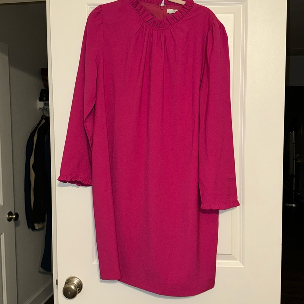 NWT j crew pink long sleeve ruffle dress